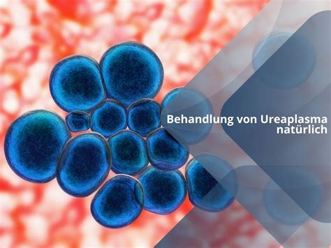 uriplasma|ureaplasma behandlung.